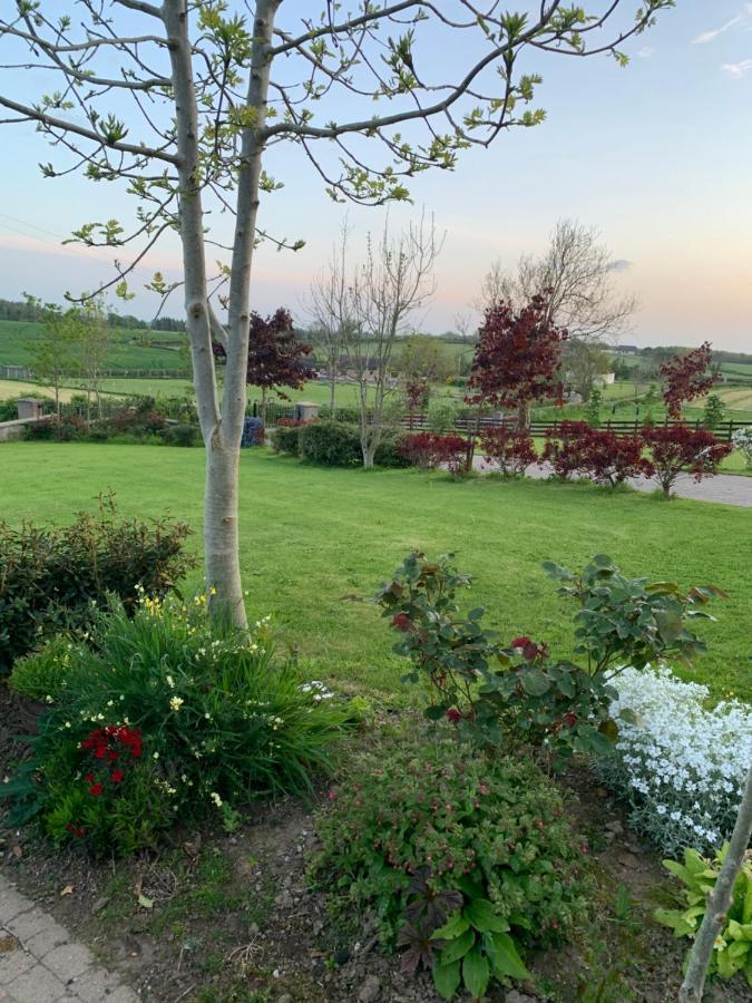 Windyridge Bed and Breakfast Aghagallon Eksteriør billede