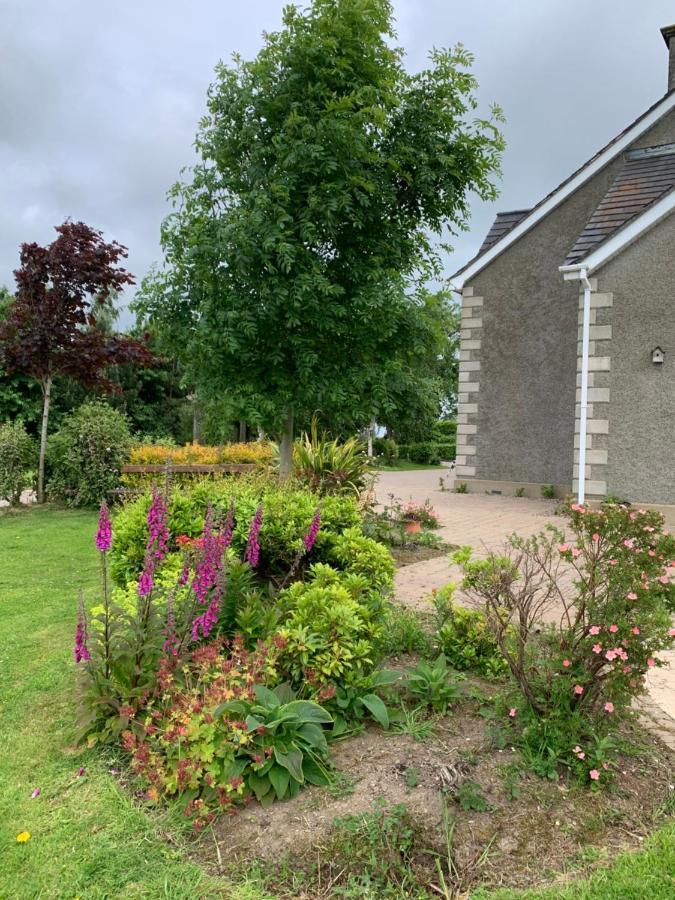 Windyridge Bed and Breakfast Aghagallon Eksteriør billede