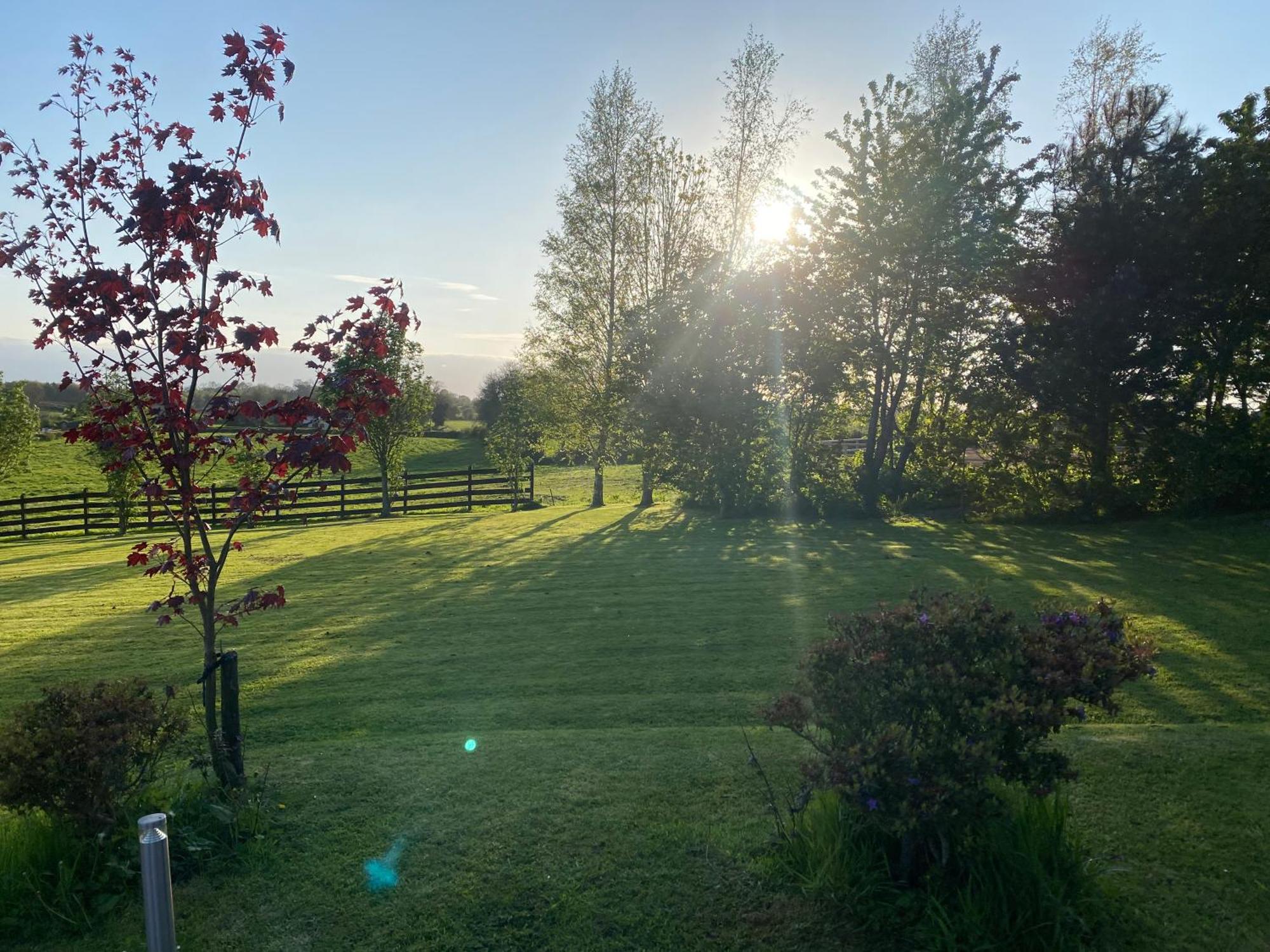 Windyridge Bed and Breakfast Aghagallon Eksteriør billede